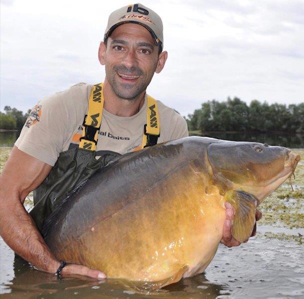 image-7