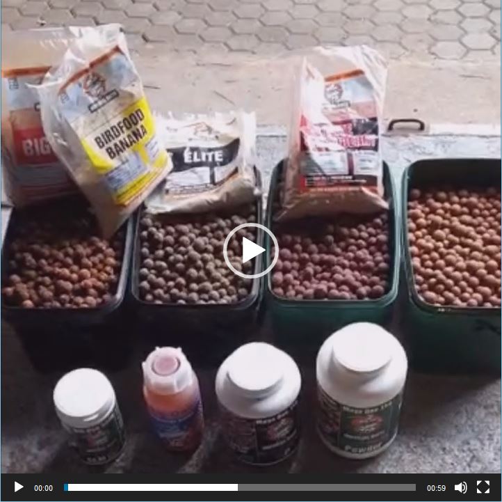 video_imtalk_de