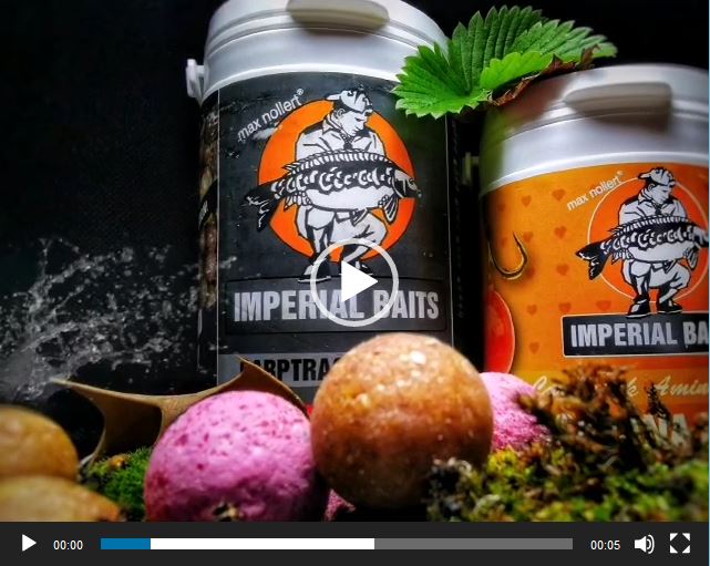 video_ibayvideo_de
