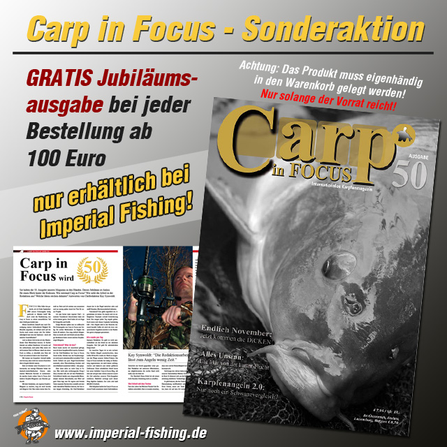 carp in focus aktion 640