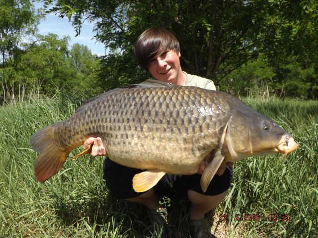 Dominik Buzek 13kg Elite