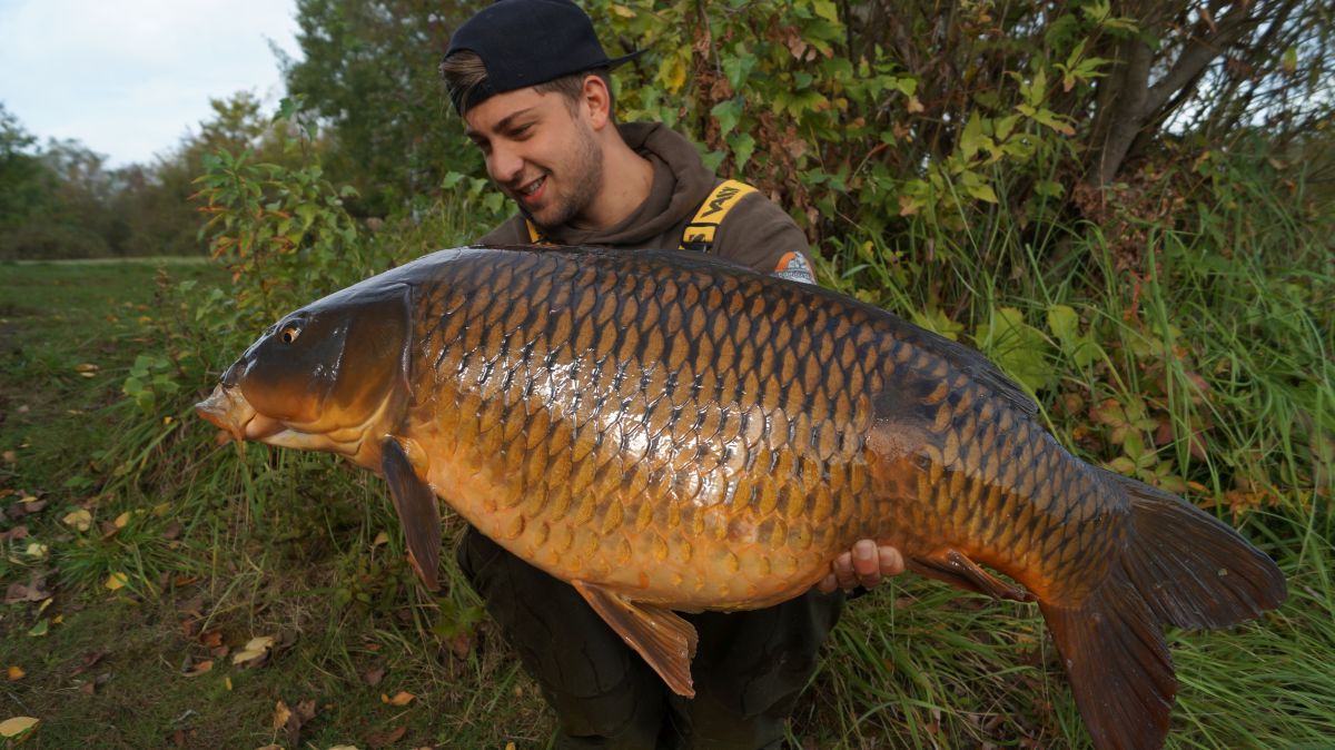 Steven Kuznia, Der Herbst ist da!