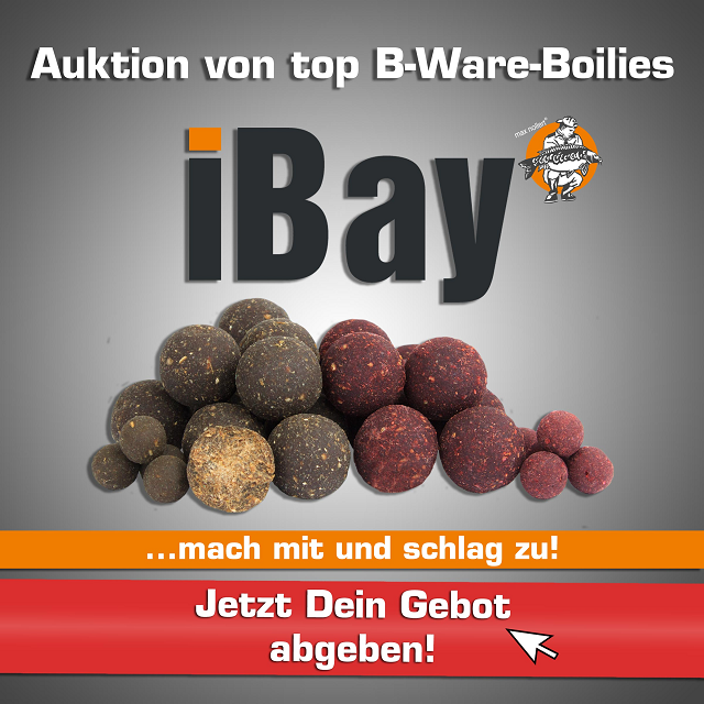 boilies-auktionen